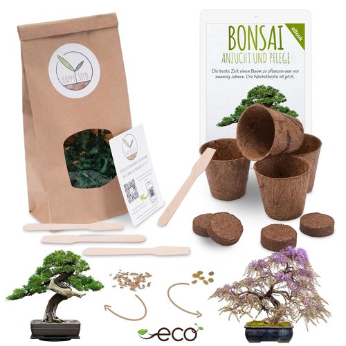 Bonsai starter kit - bonsai,
